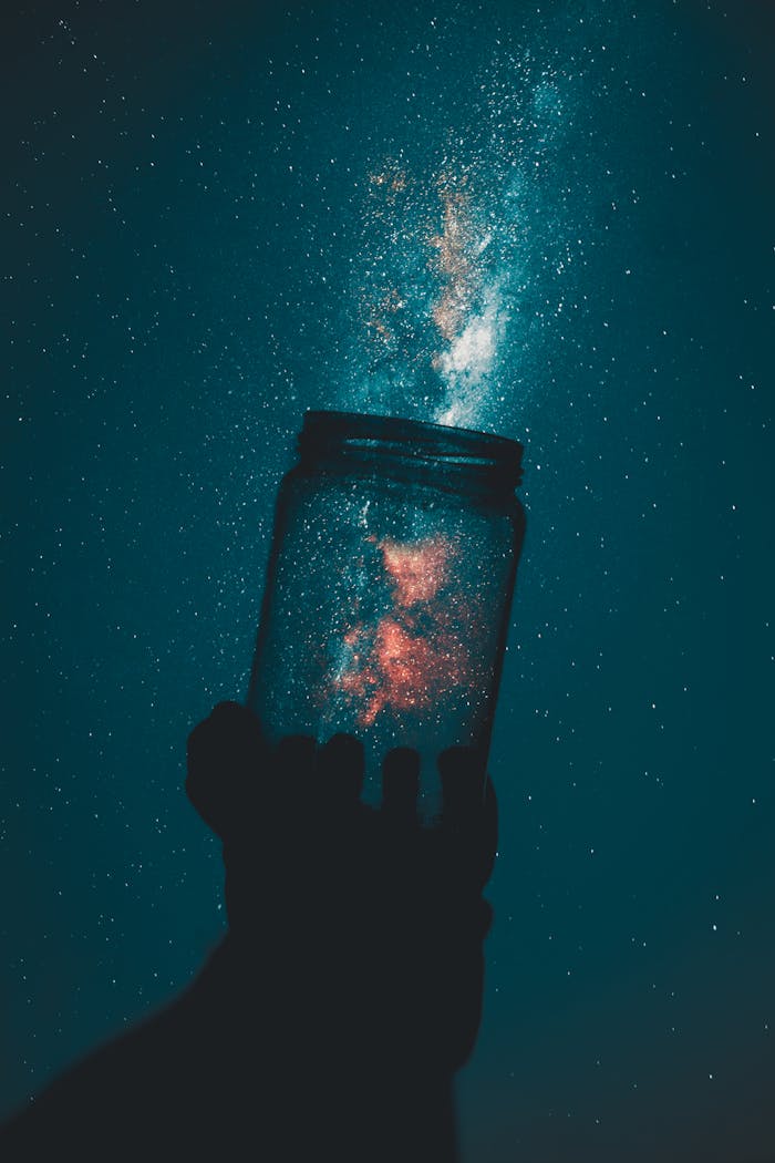programs-03
